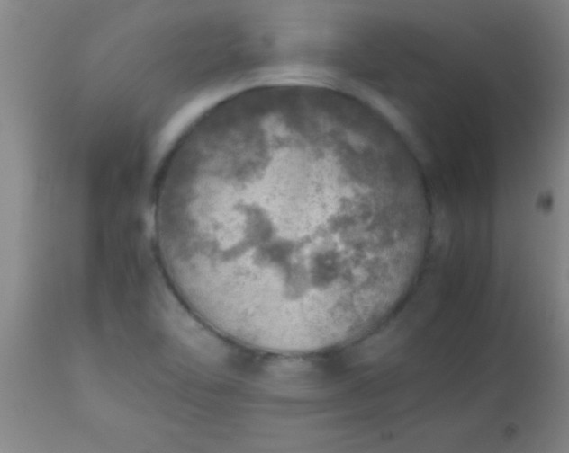 X0000113641462200910021905