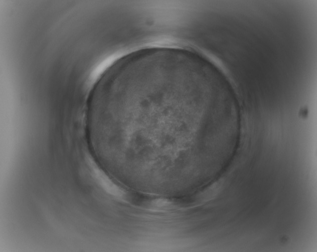 X0000113641463200910021905