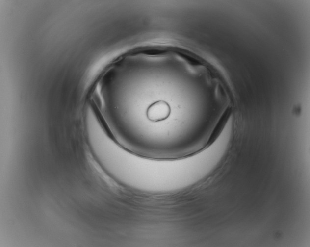 X0000113641464200910021905