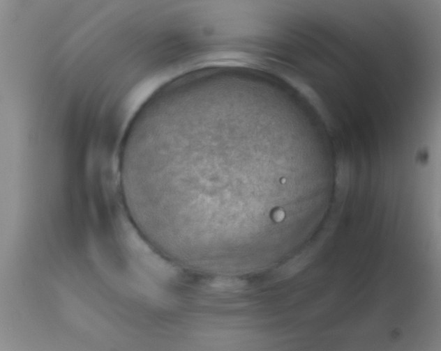 X0000113641466200910021905