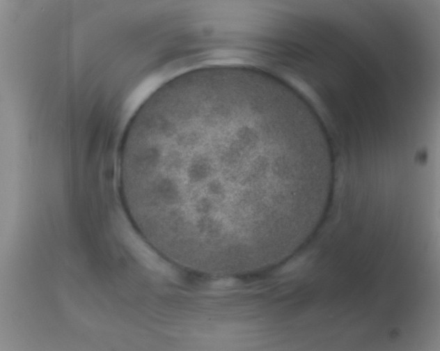 X0000113641467200910021905