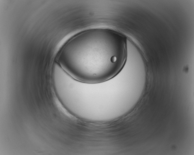 X0000113641468200910021905