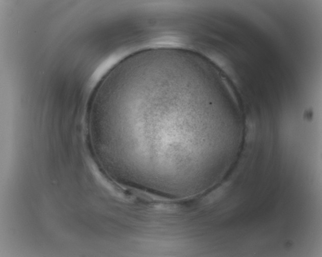 X0000113641469200910021905