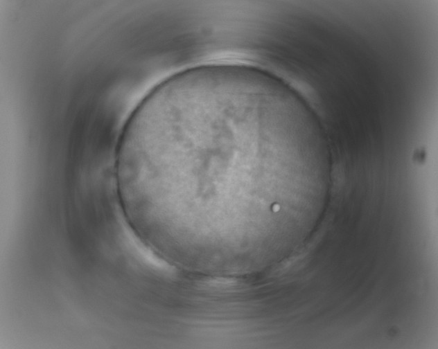 X0000113641470200910021905