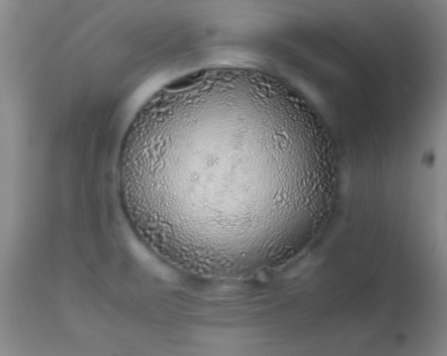 X0000113641471200910021905