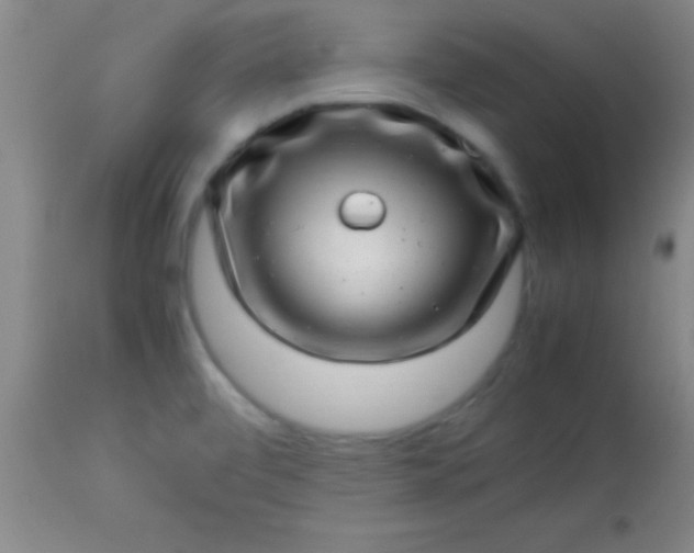 X0000113641472200910021905