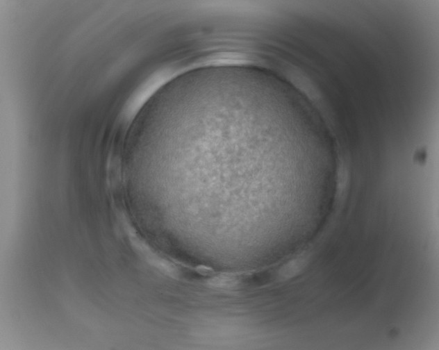 X0000113641473200910021905