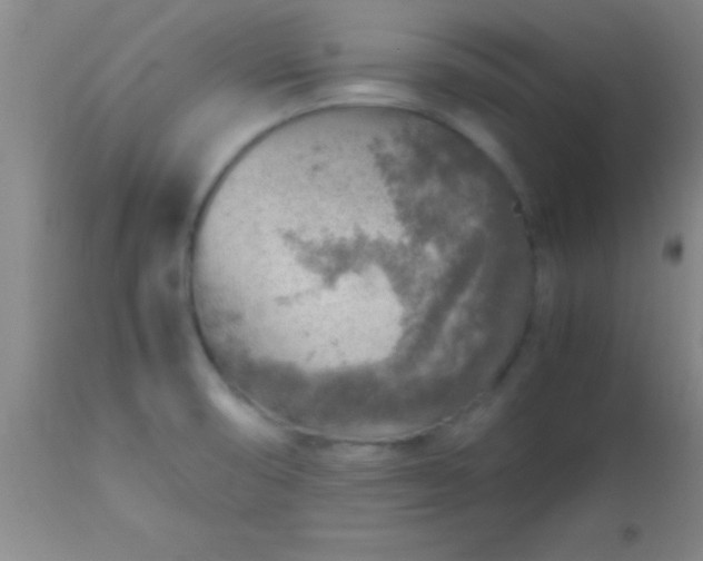 X0000113641474200910021905