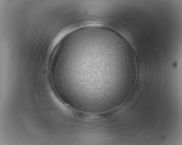 X0000113641475200910021905