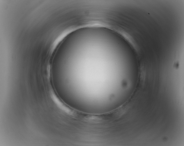 X0000113641476200910021905