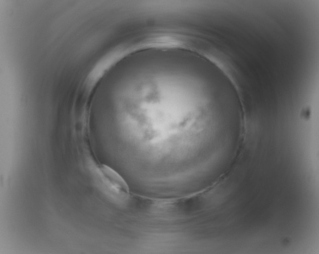 X0000113641477200910021904