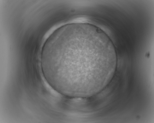 X0000113641478200910021904