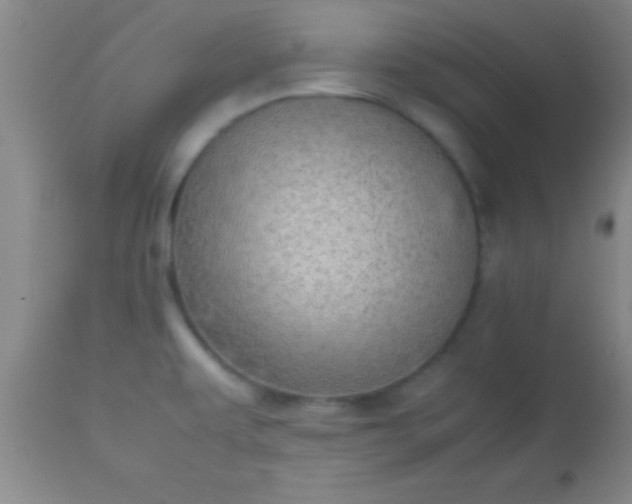 X0000113641479200910021904