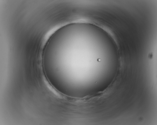 X0000113641480200910021904