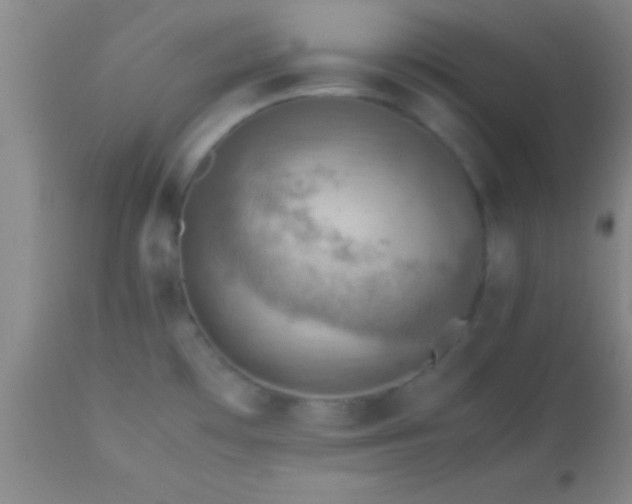 X0000113641481200910021904