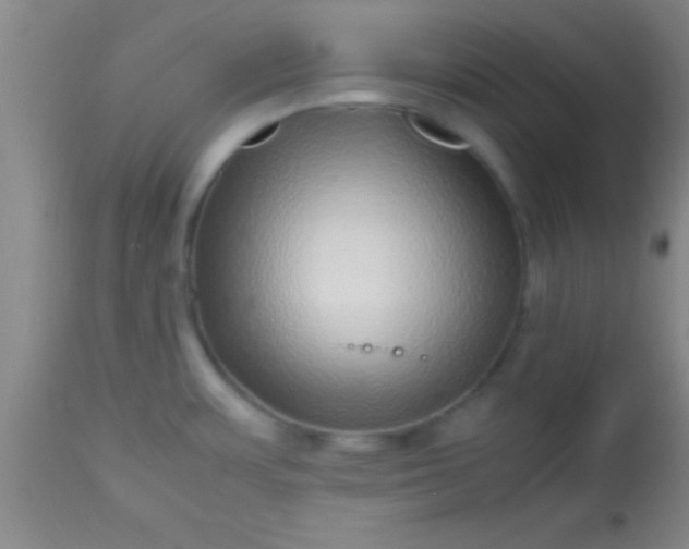 X0000113641483200910021904