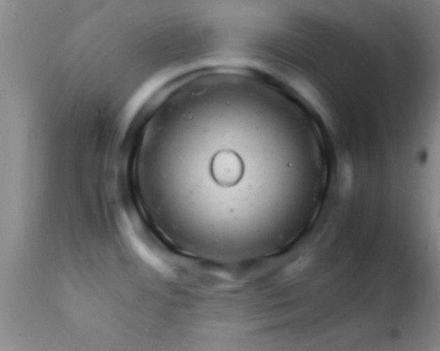 X0000113641484200910021904