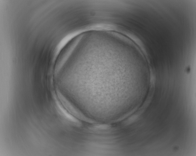 X0000113641486200910021904