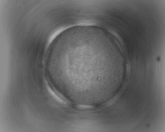 X0000113641487200910021904