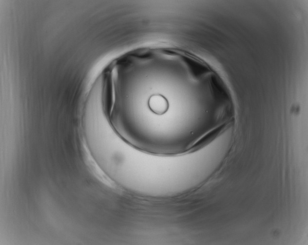 X0000113641488200910021904