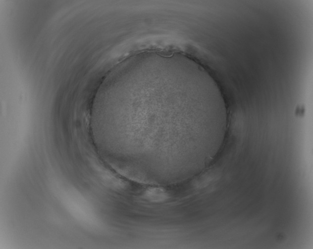 X0000113641489200910021904