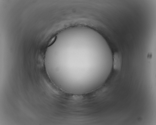 X0000113641491200910021904