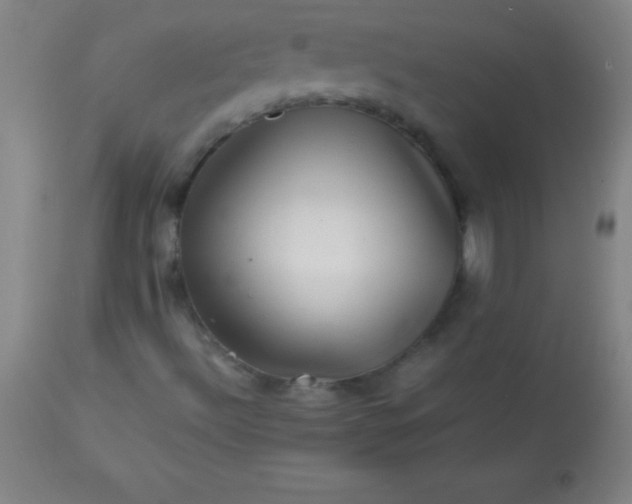 X0000113641492200910021904