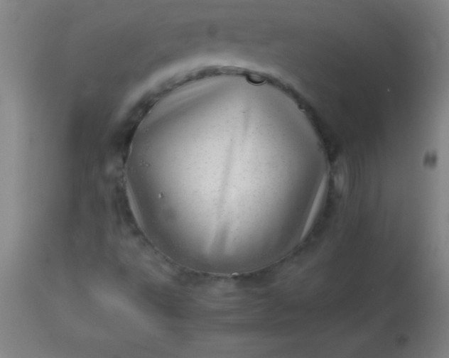 X0000113641495200910021904