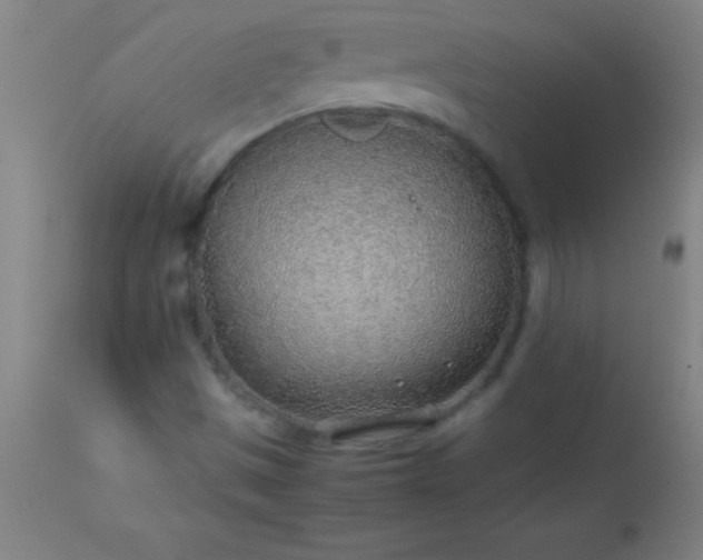 X0000113641497200910021904