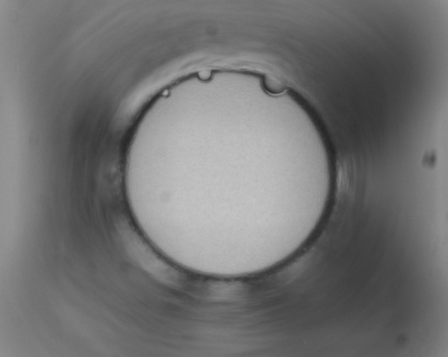 X0000113641498200910021904