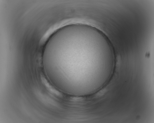 X0000113641499200910021904