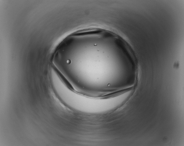 X0000113641500200910021904