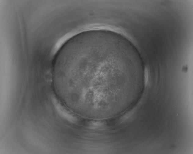 X0000113641501200910021904