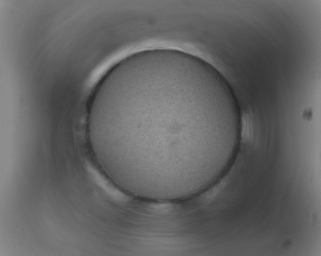 X0000113641502200910021904