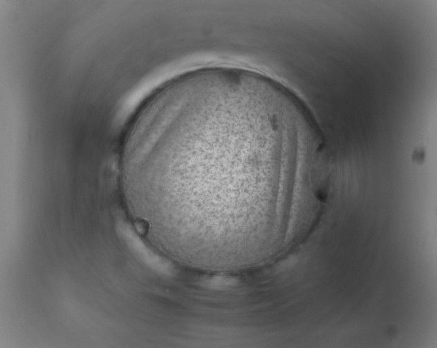 X0000113641503200910021904