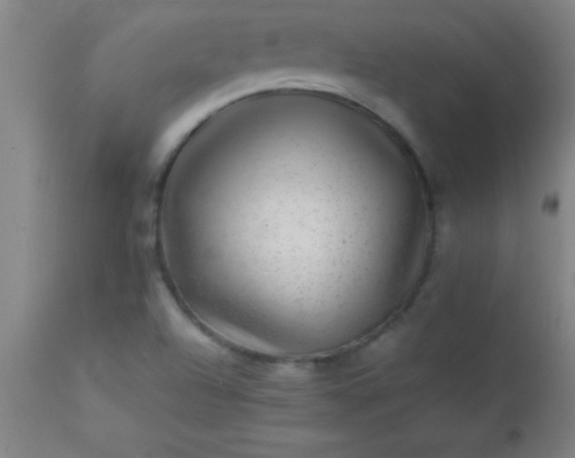 X0000113641504200910021904