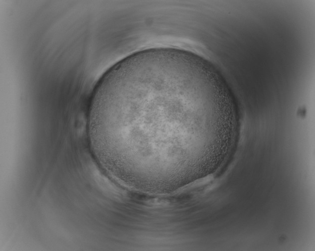 X0000113641505200910021904