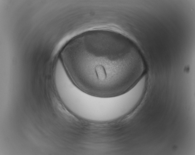 X0000113641506200910021904