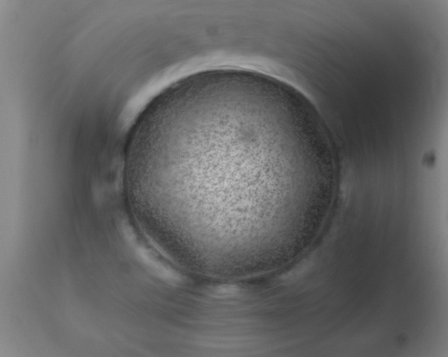 X0000113641507200910021904