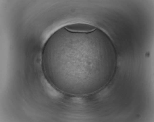 X0000113641508200910021904