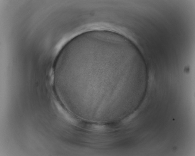 X0000113641509200910021904