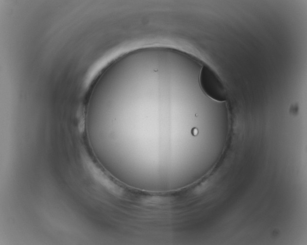 X0000113641510200910021904