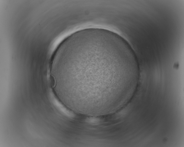 X0000113641511200910021904