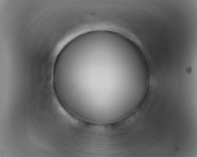 X0000113641512200910021904