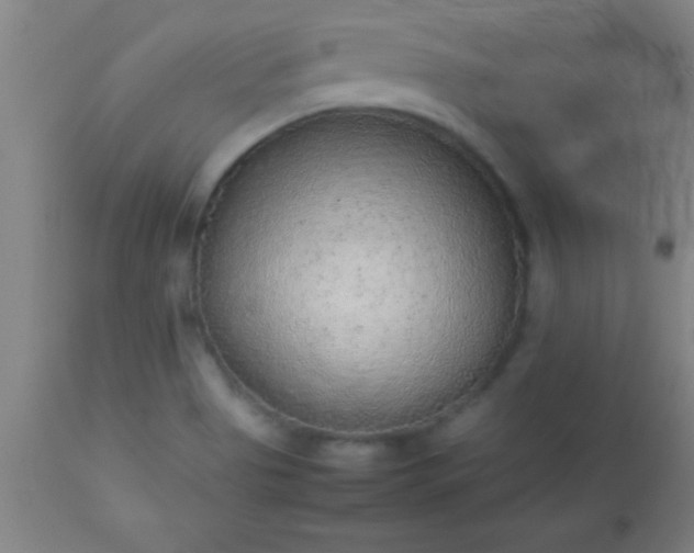 X0000113641513200910021904