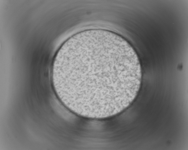 X0000113641514200910021904