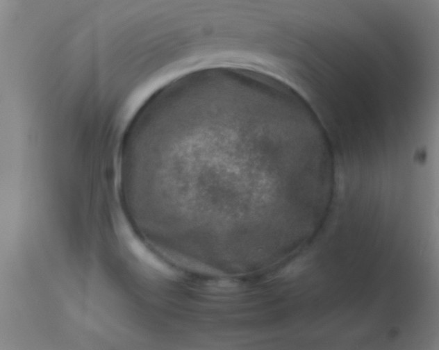 X0000113641515200910021904