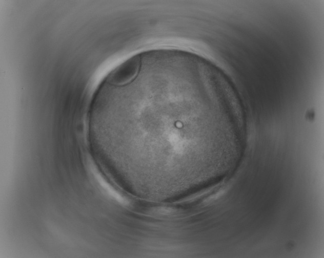 X0000113641517200910021904