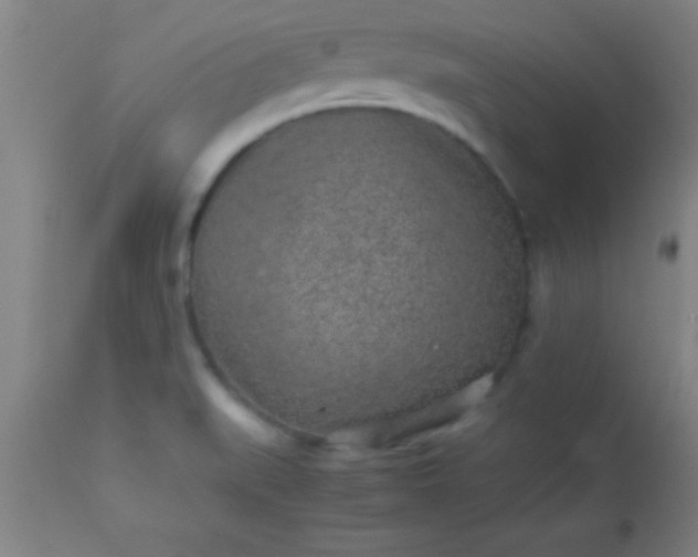 X0000113641519200910021904