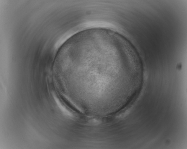 X0000113641521200910021904